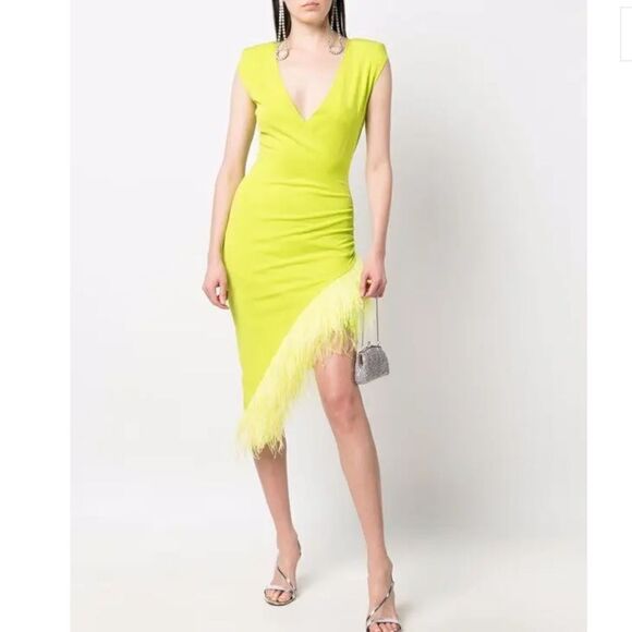 ANTONELLA RIZZA Eva Feather-Trim MIDI Dress Small - Picture 15 of 15